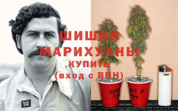 PSILOCYBIN Верея