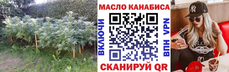 ТГК Wax  Купить  Злынка 